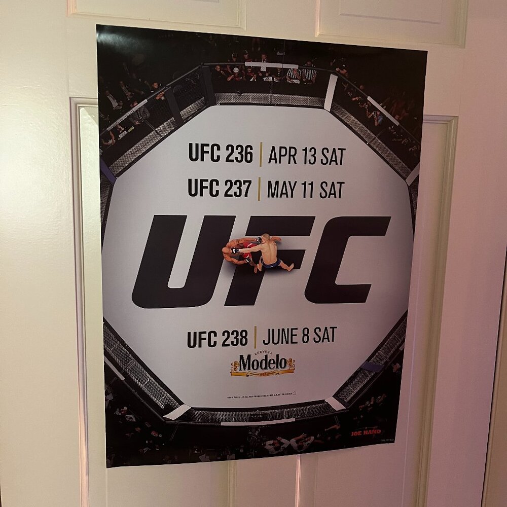 UFC 236 237 238 Promo Fight Poster 2019 Zuffa 18 x 24 Octagon View Modelo